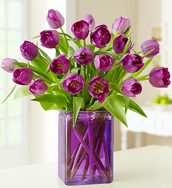 Exquisite Tulips