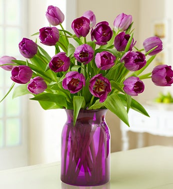 Signature Purple Tulips, 20 Stems