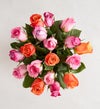Mays's Rose