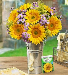 Hello Sunshine + Free Gift! - Bouquet w/French Flower Pail & Sunflower Seeds