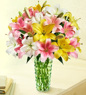 Sweet Spring Lilies, 25-50 Blooms