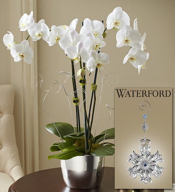 Swarovski Silver Celebration Orchid
