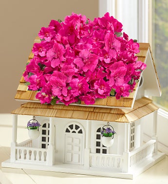 Birdhouse of Blooms Deluxe