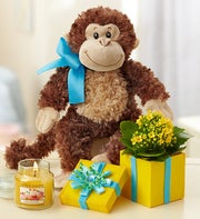 Birthday Surprise