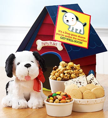 Get Well Soon Cuddly Puppy & Snack Set