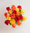 October's Rose