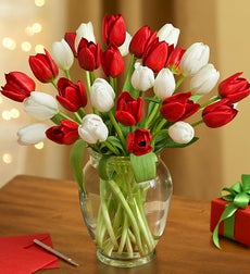 Jolly Holiday Tulips, 30 for $30 with Free Vase