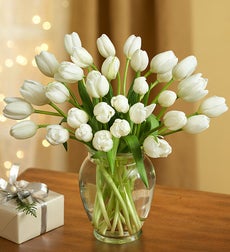 Winter Snowflake Tulips, 30 for $30 + Green Vase - 30 Stems with Free Clear Vase