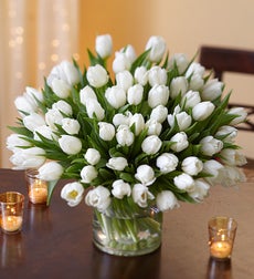 Winter Snowflake Tulips, 30 for $30 + Green Vase - 60 Stems with Clear Vase