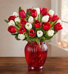 Jolly Holiday Tulips, 30 Stems - with Red Vase
