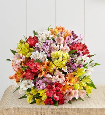 Gemstone Peruvian Lilies, 50-100 Blooms - 100 Blooms Bouquet Only