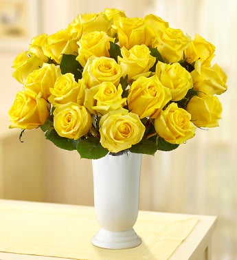 Yellow Roses, Buy 12 Get 12 Free