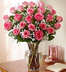 Pink Pink Roses
