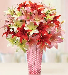 Vibrant Valentine Lilies, 25-50 Blooms + Free Vase - Over 50 Blooms with Pink Polka Dot Vase