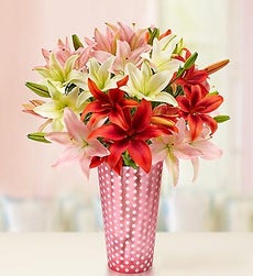 Vibrant Valentine Lilies, 25-50 Blooms + Free Vase - Over 25 Blooms with Pink Polka Dot Vase