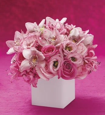 pink orchids