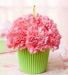Pink in Bloom