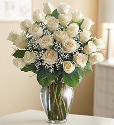 Funeral Flowers by 1800Flowers. com - Two Dozen White Roses for Sympathy