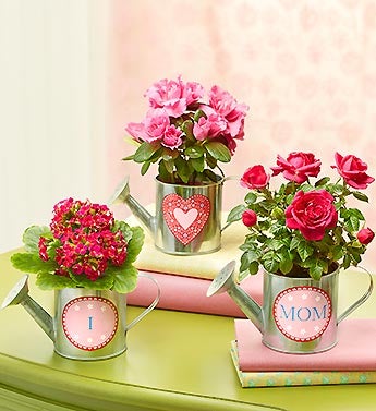 I Heart Mom