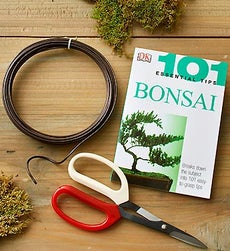 Bonsai Starter Kit