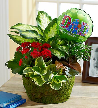 Happy Father's Day Dish Garden