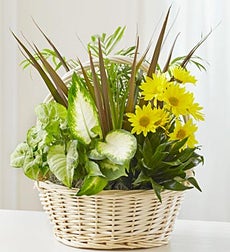 Flowers Funeral Flowers