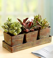 Faux Succulent Garden