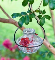 Hummingbird Feeder?Clear Pot