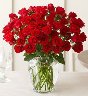 Red Spray Roses