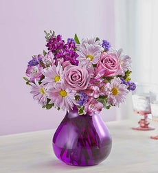 Lavender Dreams