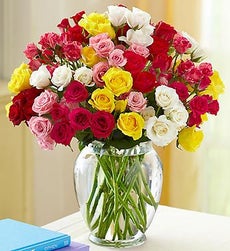 50-100 Blooms of Assorted Spray Roses - 100 Blooms with Clear Vase