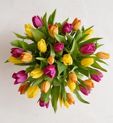 Twinkle Light Tulips - 30 Stems Bouquet