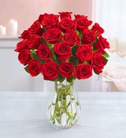 Two Dozen Red Roses + Free Vase