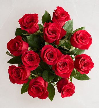 February's Rose