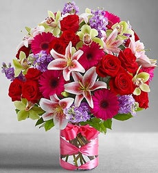 Dazzle Her Day - Medium