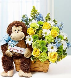 Lotsa Love for New Baby Boy - Large