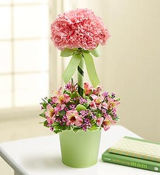 Garden Topiary - Pink Garden Topiary