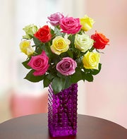 One Dozen Assorted Roses + Free Premium Vase