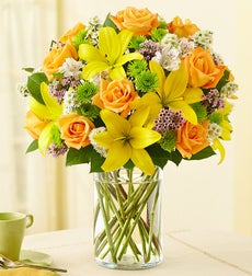 Medium Cylinder Vase