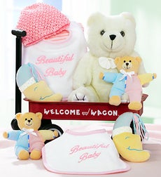 Image: New Baby Girl Welcome Wagon - Hello Baby! Girl Welcome Wagon