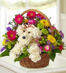 Funeral Flowers by 1800Flowers. com - a-DOG-able in a Basket for Sympathy
