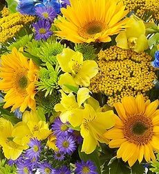 Arrangement of the Month - 3 Month Bouquet Club ($ per delivery)