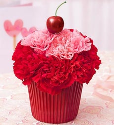 Cupcake in Bloom For Your Cupcake