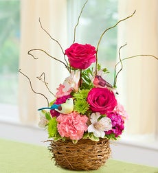 Bird of Flowers
