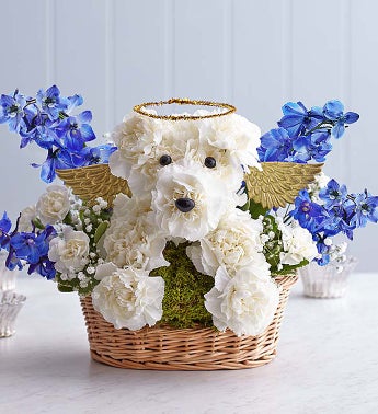 Flowers on All Dogs Go To Heaven     Pet Sympathy Flowers   1 800 Flowers Com