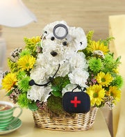 Doggie Howser M.D.?