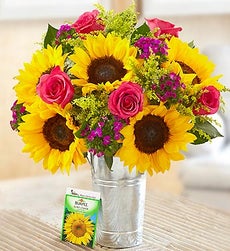 Sunflower Lover's Bouquet + Free Gift! - Bouquet w/French Flower Pail & Sunflower Seeds