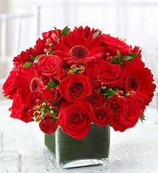 Red Centerpiece Package - Set of 10