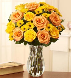 Orange Yellow Roses