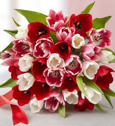 Valentine's Day Tulips - 30 Stems Bouquet Only